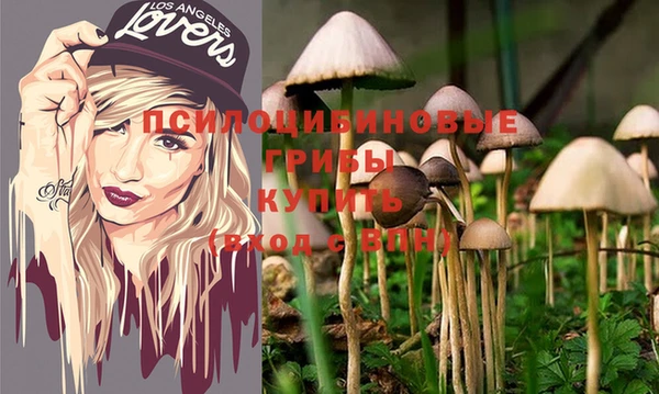 кокаин Вяземский