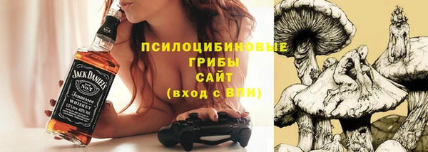 МДПВ Вязьма