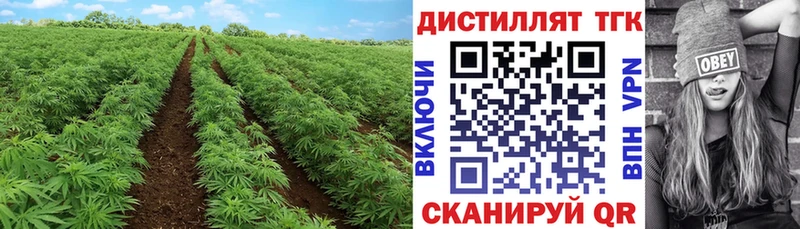 продажа наркотиков  blacksprut   Дистиллят ТГК Wax  Железногорск 