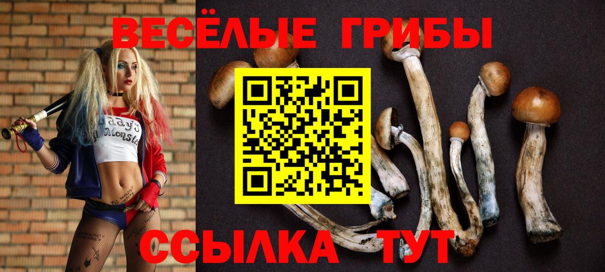 Псилоцибиновые грибы мухоморы Железногорск