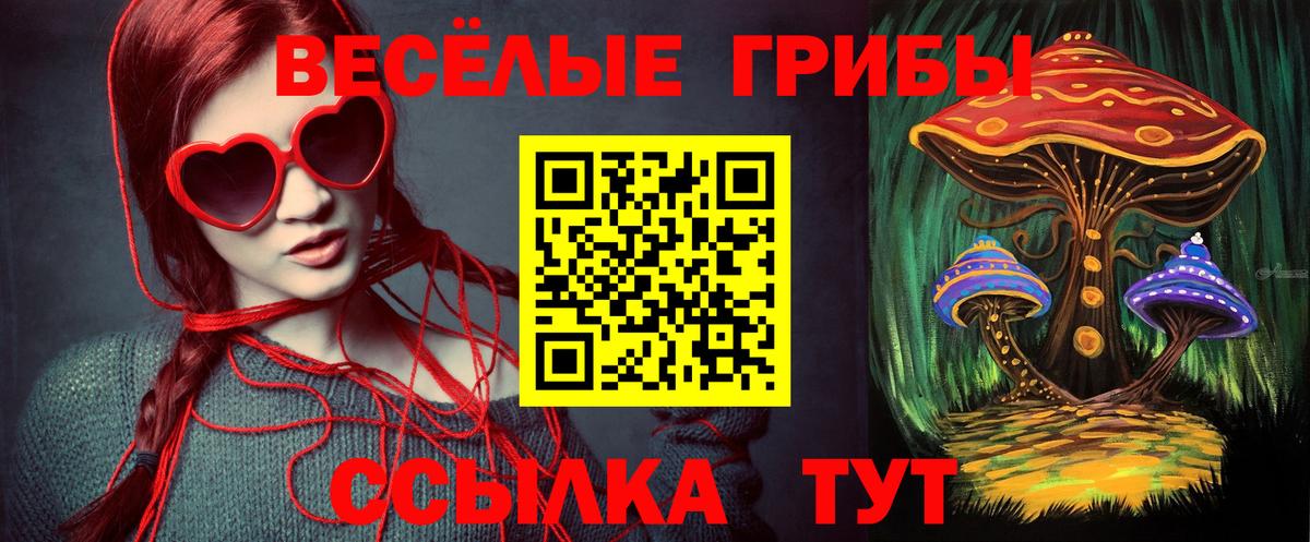 Галлюциногенные грибы MAGIC MUSHROOMS  Вход с VPN  Железногорск 